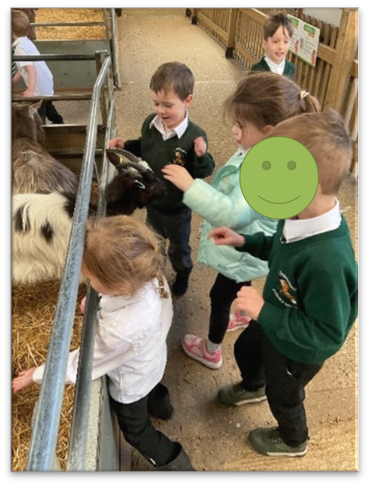 Children looking at animals